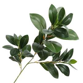 仿真豆瓣叶 人造胶片绿叶植物 家居软装婚庆礼堂布景装饰假花配件