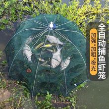 鱼网虾笼捕鱼笼折叠抓捕鱼神器自动捉渔网工具 扑鱼网笼 只进不出