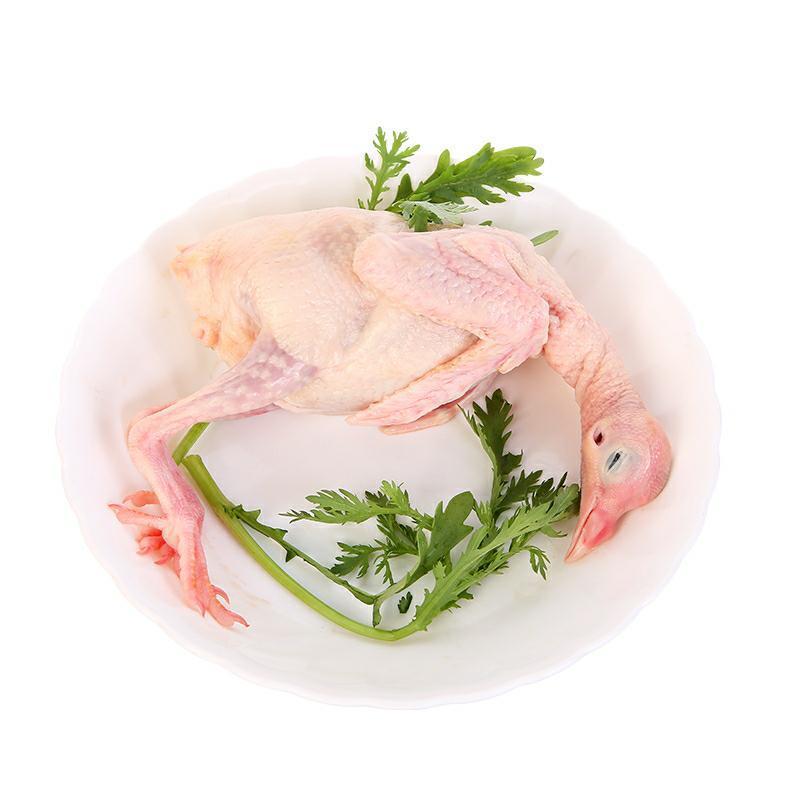 新鲜杂粮土鸽子烤乳鸽农家白条鸽活体现鸽子肉生鲜月子煲汤补品