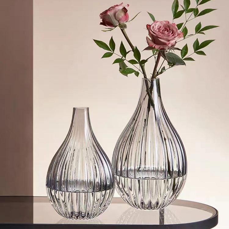 Nordic Style Big Belly Transparent Vase Small Mouth Vase Transparent Glass Hydroponics Bell Living Room Decoration Vase Decoration