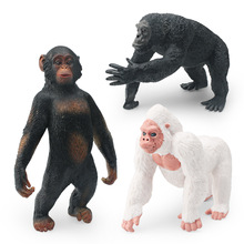 厂家供货仿真森林动物3款猩猩模型白猩猩黑猩猩实心静态摆件玩具