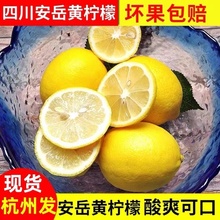 现货黄柠檬3斤装榨汁奶茶店商用包邮新鲜皮薄四川安岳黄柠檬