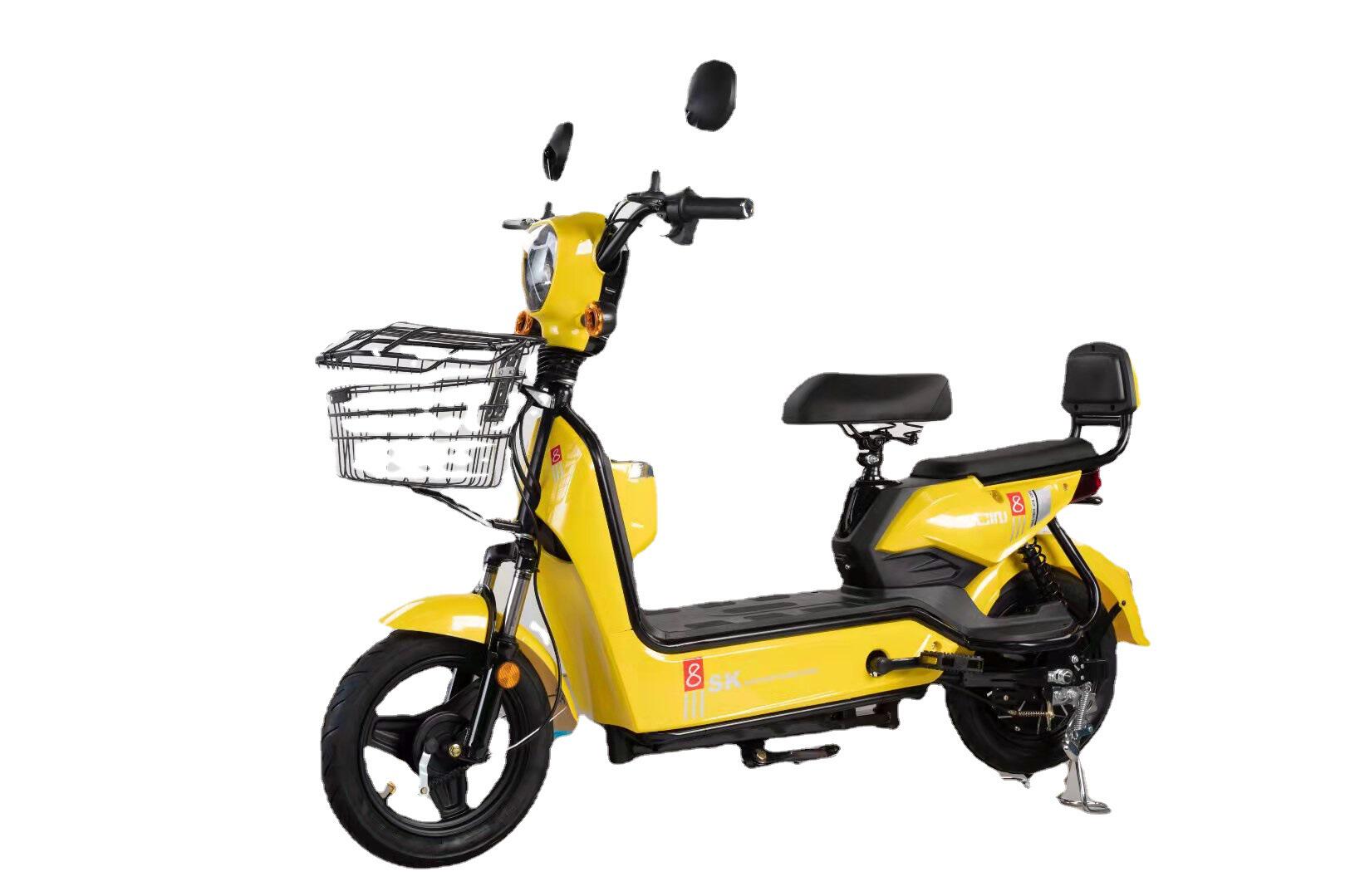 带瓶电动车厂家直销48v伏电瓶车两人双轮电动自行车工厂批发价