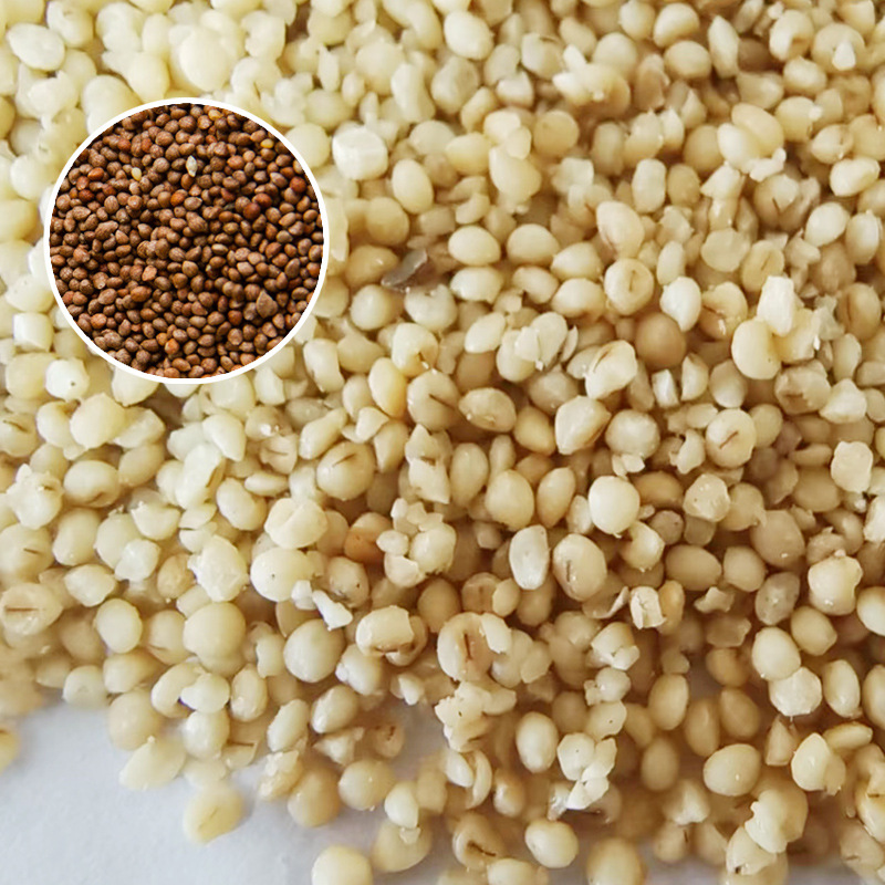 批发出口苏子脊骨汤料烧烤配料 紫苏籽整粒去皮 脱皮炒熟 苏籽米