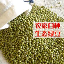 农家绿豆新货5斤绿豆芽发芽豆100g五谷杂粮笨绿豆糕绿豆粉皮