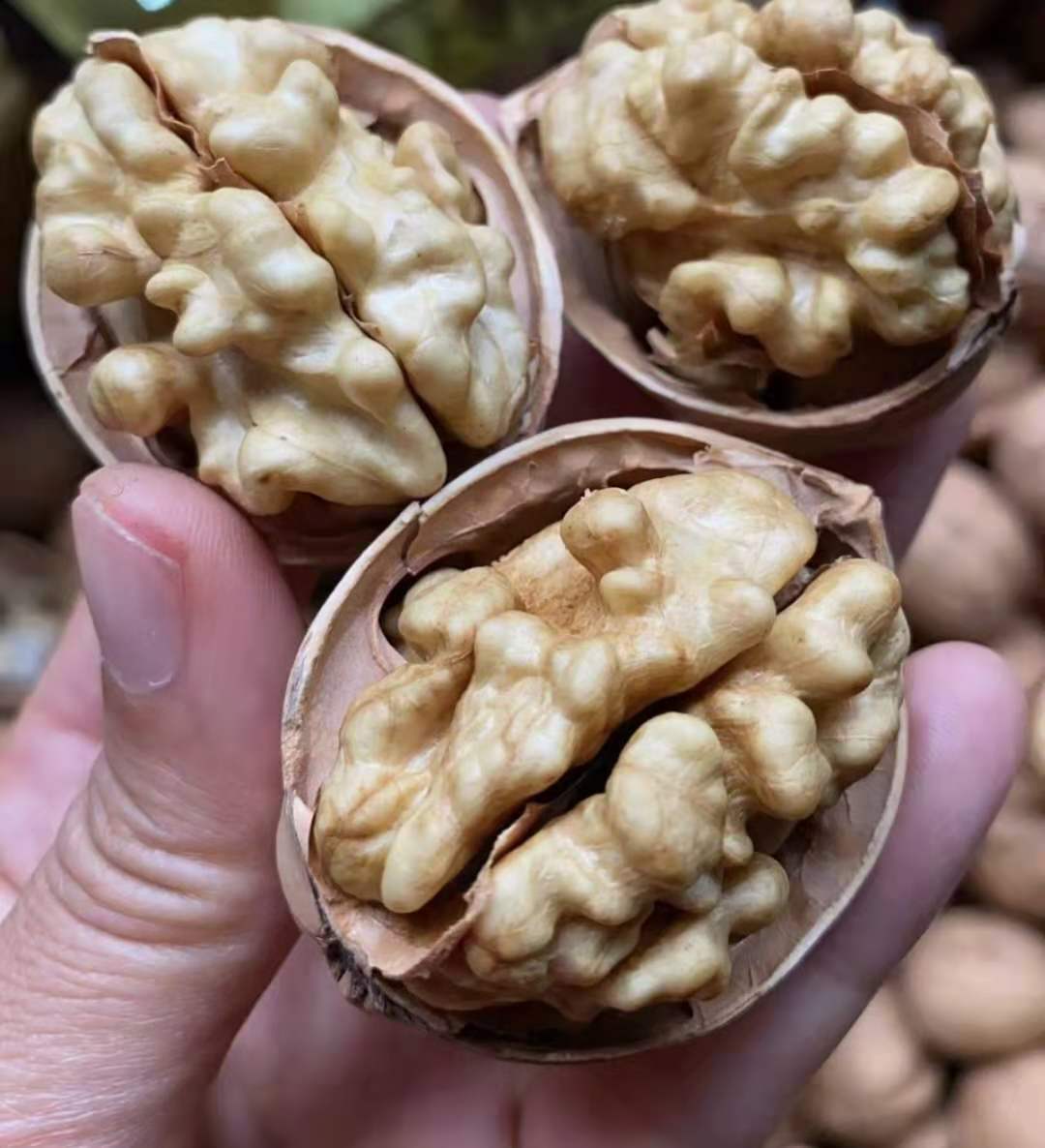 鲜丰水果码头礼盒装嘴强大脑185纸皮核挑奶香新疆簿壳大核桃2斤