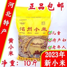 河北特产洺州小米10斤月子儿童老人粘稠黄小米2023年新米5kg包邮