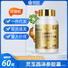 力魂 灵芝益寿胶囊 0.