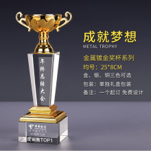 水晶奖杯定制成就梦想奖杯定制年会奖杯定制水晶奖杯活动纪念品