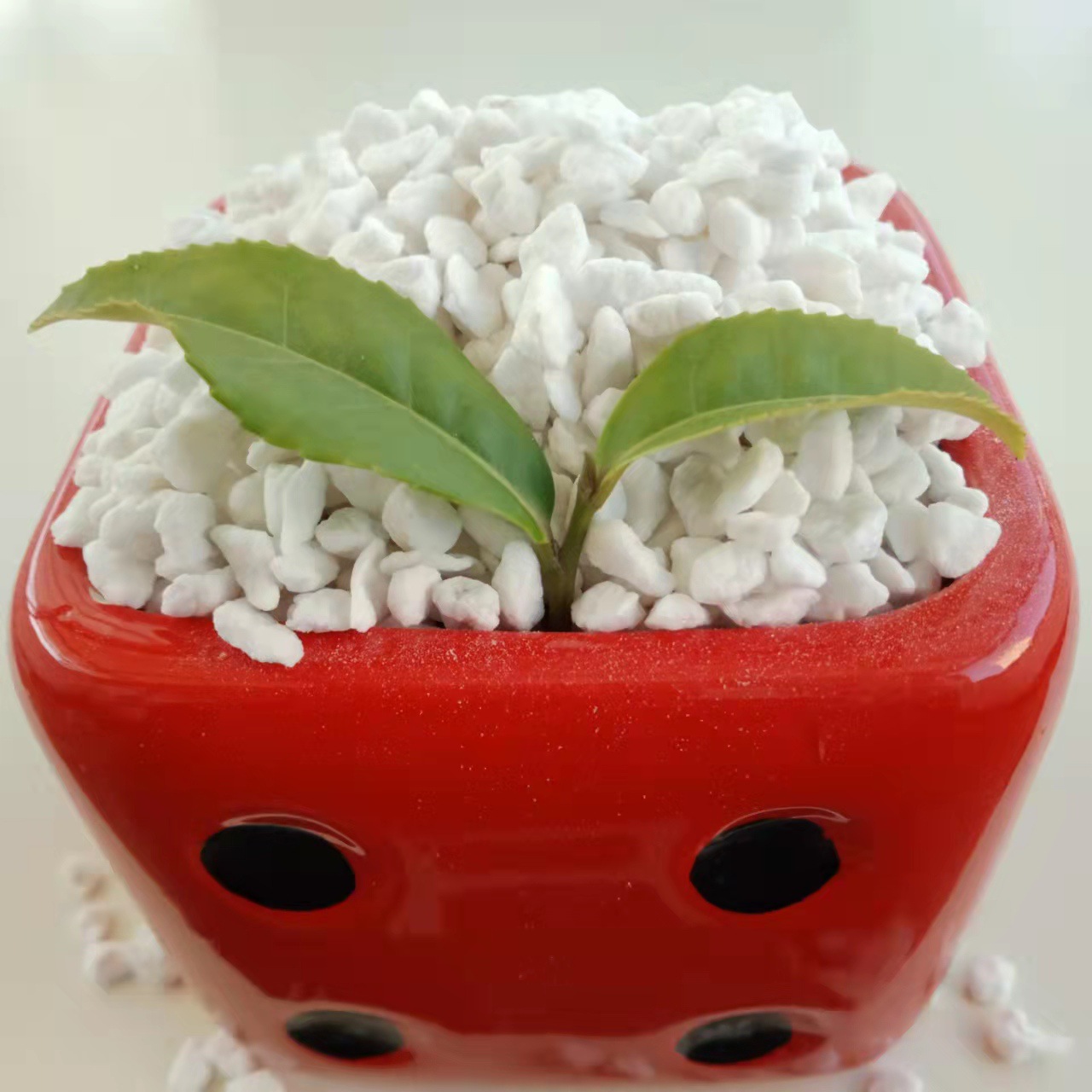 珍珠岩环保材料