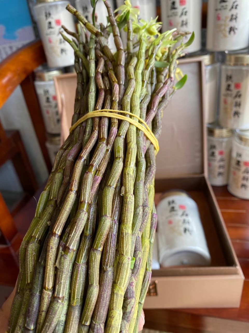 天目山铁皮石斛