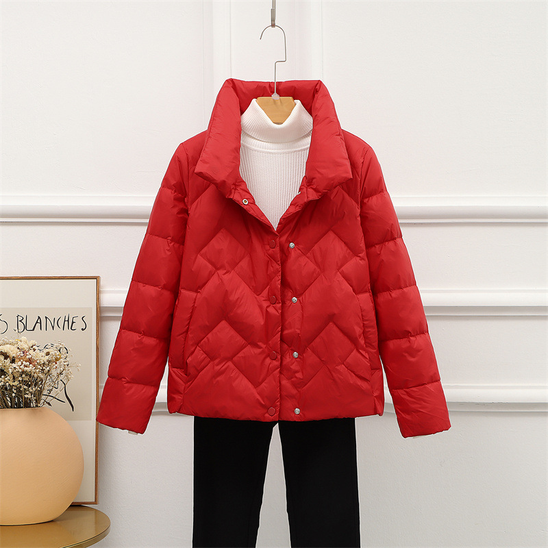 2021年秋冬季平湖羽绒服小短款薄款宽松休闲90白鸭绒立领纯色外套