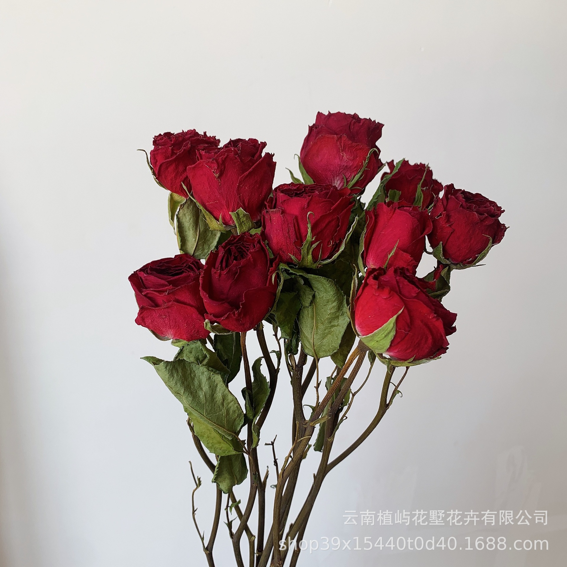单头玫瑰干花真花大花云南厂家批发客厅装饰花束diy插花节日送人