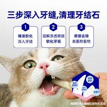 功能零食尝鲜冻干猫咪狗狗零食猫咪用品洁齿棒营养猫猫除口臭