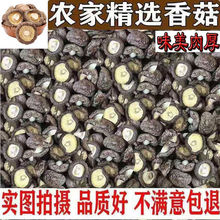 香菇干批发新货古田小香菇干货500g精选冬菇金钱菇特产蘑菇100g厂