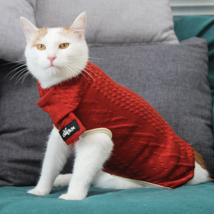 宠它冬季新款猫咪毛衣圣诞节春节喜庆宠物猫衣服保暖拜年冬衣代发