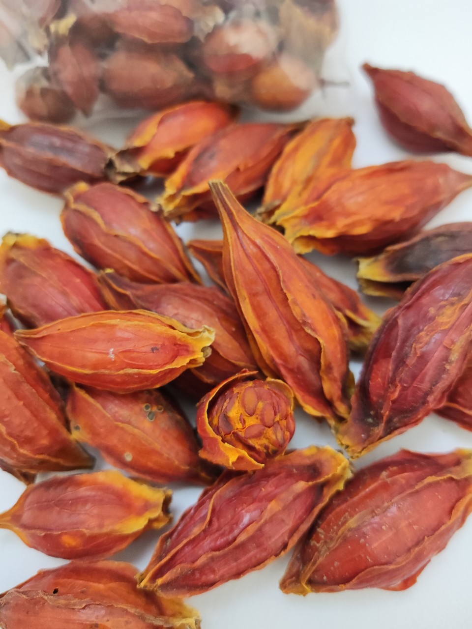 栀子茶栀子果泡茶500g散装不中药材红栀子干食用黄栀子粉