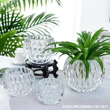水培器皿玻璃花盆水养植物瓶透明花器绿萝铜钱草花瓶圆形容器