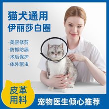 伊丽莎白圈狗狗猫咪项圈脖套绝育防舔防抓防咬耻辱圈宠物头罩用品