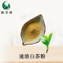白茶粉98% 白茶提取物 源头现货 多规格 欢迎咨询 固体饮料白茶粉