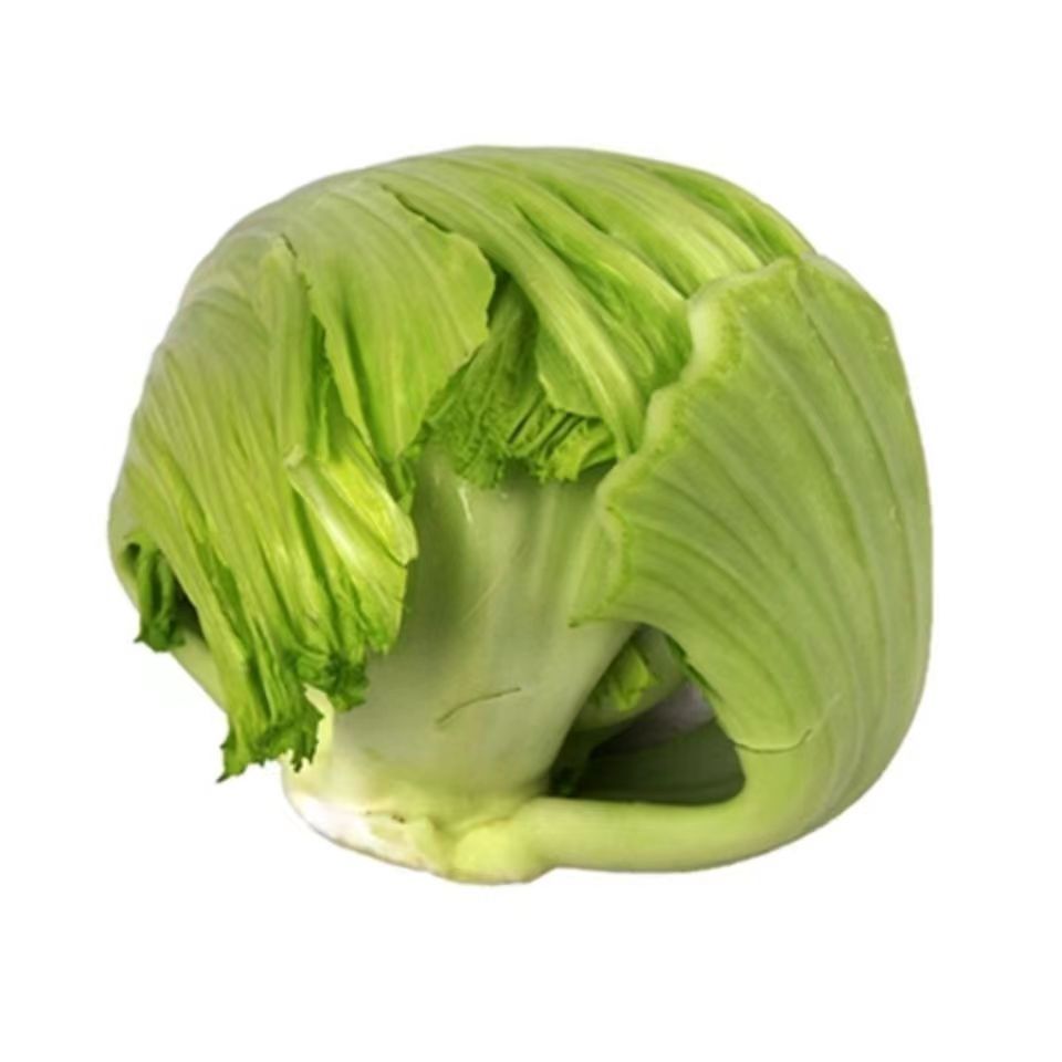 芥菜种子11号大肉包心芥种籽挂菜胆秋冬季播大田菜园高产蔬菜种孑