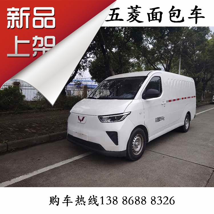 五菱扬光电动面包冷藏车 五菱红1号电池41.9kw 续航300km-阿里巴巴