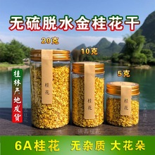 无硫脱水桂花干广西桂林6A干桂花食用新鲜金桂花茶叶烘焙浓香型