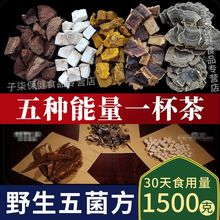 野生金边桑黄灵芝赤灵芝赤芝茯苓云芝平盖灵芝五菌方
