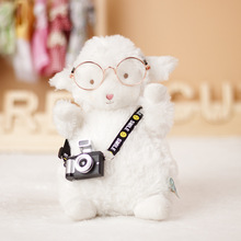 抖音小羊公仔配饰眼镜相机套装毕业季小坐羊玩偶衣服17厘米学院风