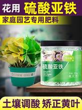 硫酸亚铁花肥料养花用酸性茶花栀子花肥料专用肥盆栽家用通用跨境