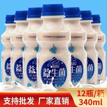 益生菌原味乳酸菌饮品340ml*12瓶益生元牛奶饮料早餐酸奶批发整箱