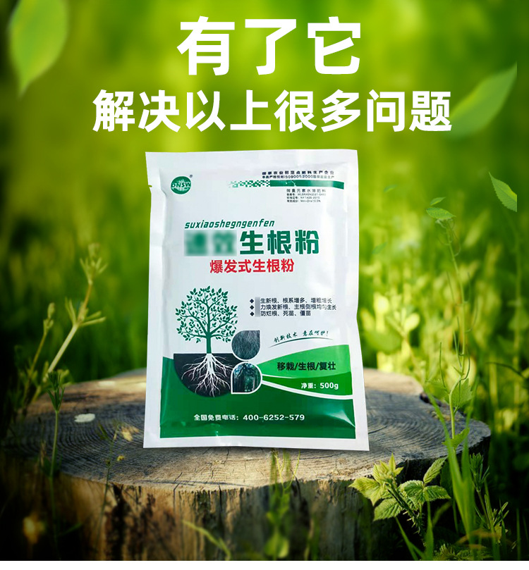 批发销售 500克生根粉 大树植物扦插育苗移栽 生根粉 品质之选