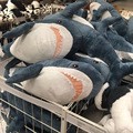 Cross-Border Hot Selling Shark Throw Pillow Instafamous Plush Toy Ah Woo Shark Doll Children's Gift Doll Wholesale