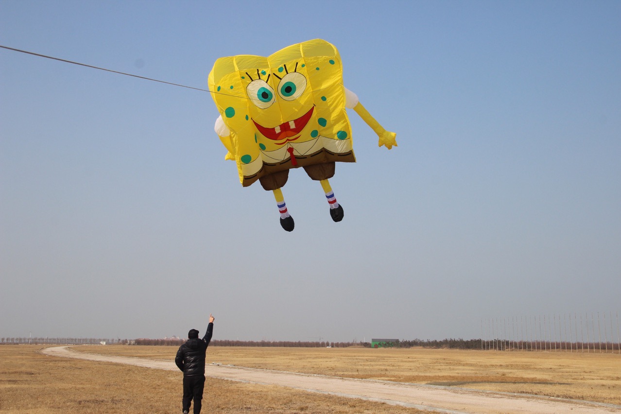 尼龙布料软体风筝