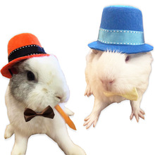 宠物兔子 豚鼠 荷兰猪 龙猫 刺猬 帽子 万圣节 圣诞节 搞笑变身装