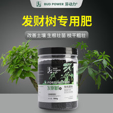 发财树肥料专用肥家用缓释肥招财树幸福树金钱树通用复合肥花肥