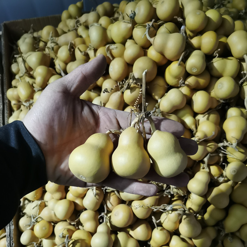 天然手捻胖墩葫芦4-7厘米9.9元10个随机发货-阿里巴巴