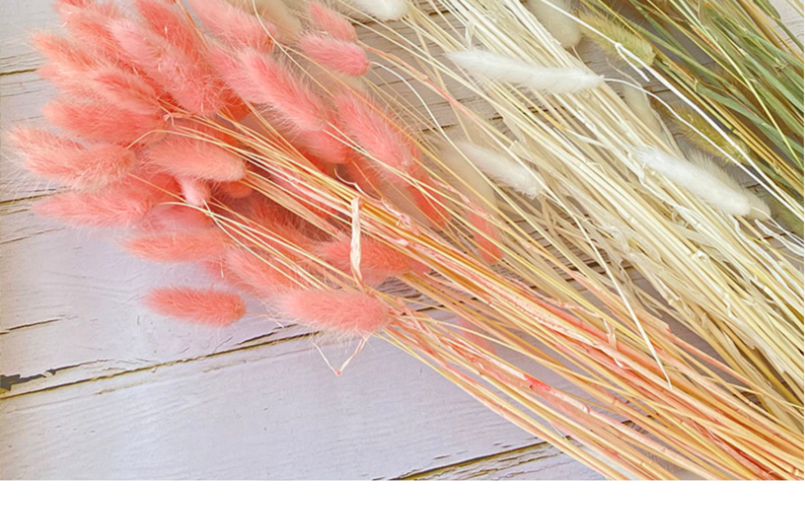 云南干花兔尾草染色狗尾巴草一束30支家居婚庆摆件装饰花