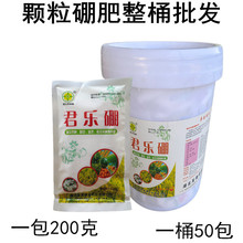 颗粒型硼肥200克桶装 油菜专用硼肥底肥 基施型颗粒硼肥整桶批发