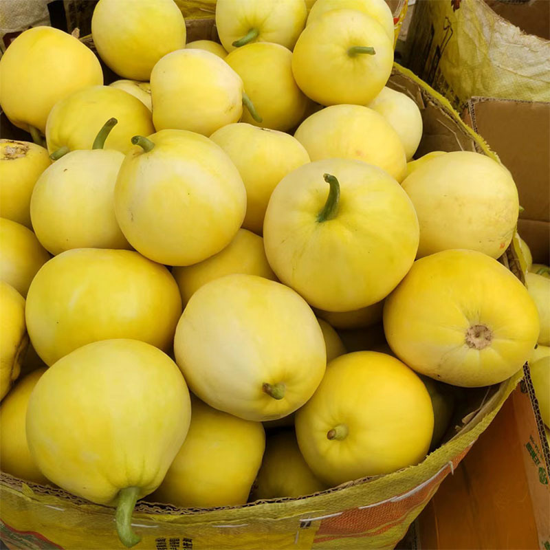 【顺丰快递】山东小蜜蜂甜瓜兴甜20号甜瓜蜜罐甜瓜水果整箱4.5斤