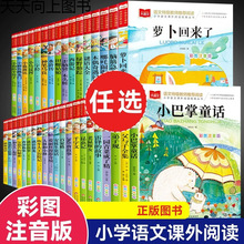 正版包邮小学生课外阅读书彩图注音版金波童话作品小学大语文书籍