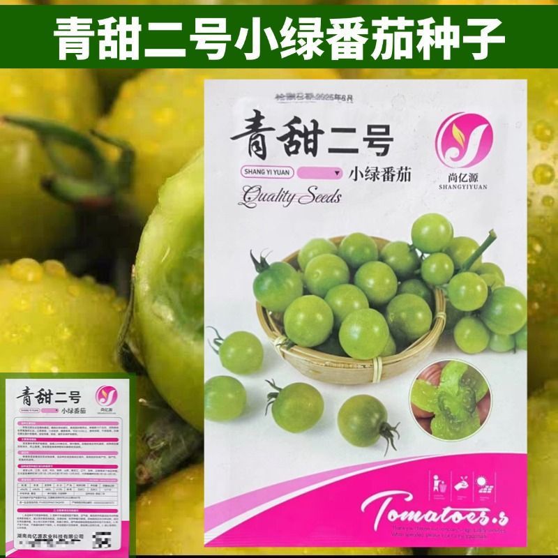 批发青甜二号小绿番茄种子小番茄种子甜脆糖度高绿色圣女果籽好Z