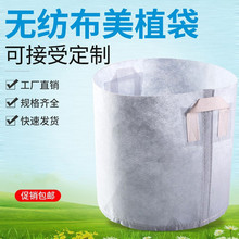 苗圃填土折耳根养花黑白色栽种种植袋加厚大棚育种袋营养袋容器