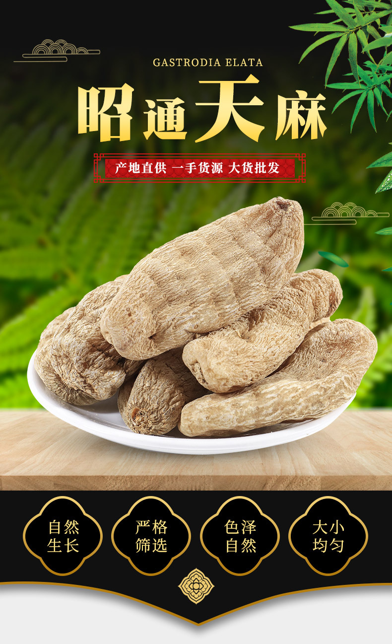 天麻批发云南昭通深山种植晒干货新鲜天麻切片磨天麻粉片代发