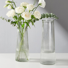 【两件套】浮雕ins玻璃花瓶大号透明水养富贵竹客厅家用插花摆件