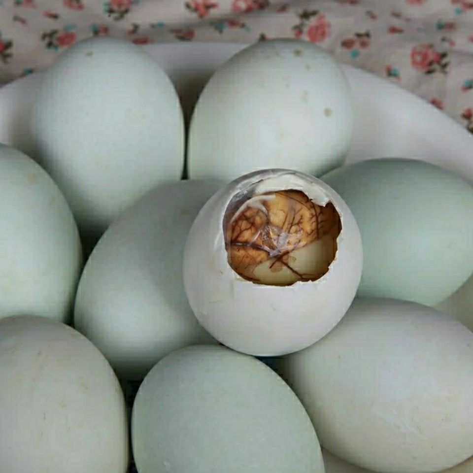 鸭胚蛋新鲜活珠十八天活子蛋鸭仔蛋活喜蛋毛鸭蛋屈头蛋10只活珠子