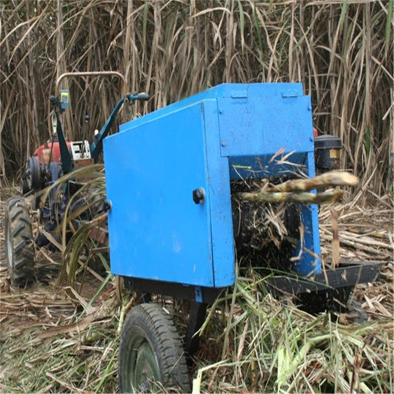 山东农业机械厂家生产小型甘蔗剥叶机 剥叶效果好甘蔗脱叶机sj
