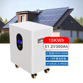 落地式家庭储能锂电池51.2V300Ah太阳能光伏基站后备电源磷酸铁锂