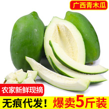 【广西青木瓜】 新鲜现摘生木瓜番木瓜 腌酸沙拉可选