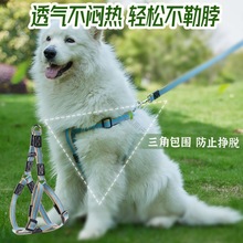 宠物胸背带背心式项圈狗狗马甲背带狗脖圈小型犬中型犬大型犬通用